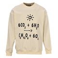 GUCCI Classic Crewneck Sweatshirt